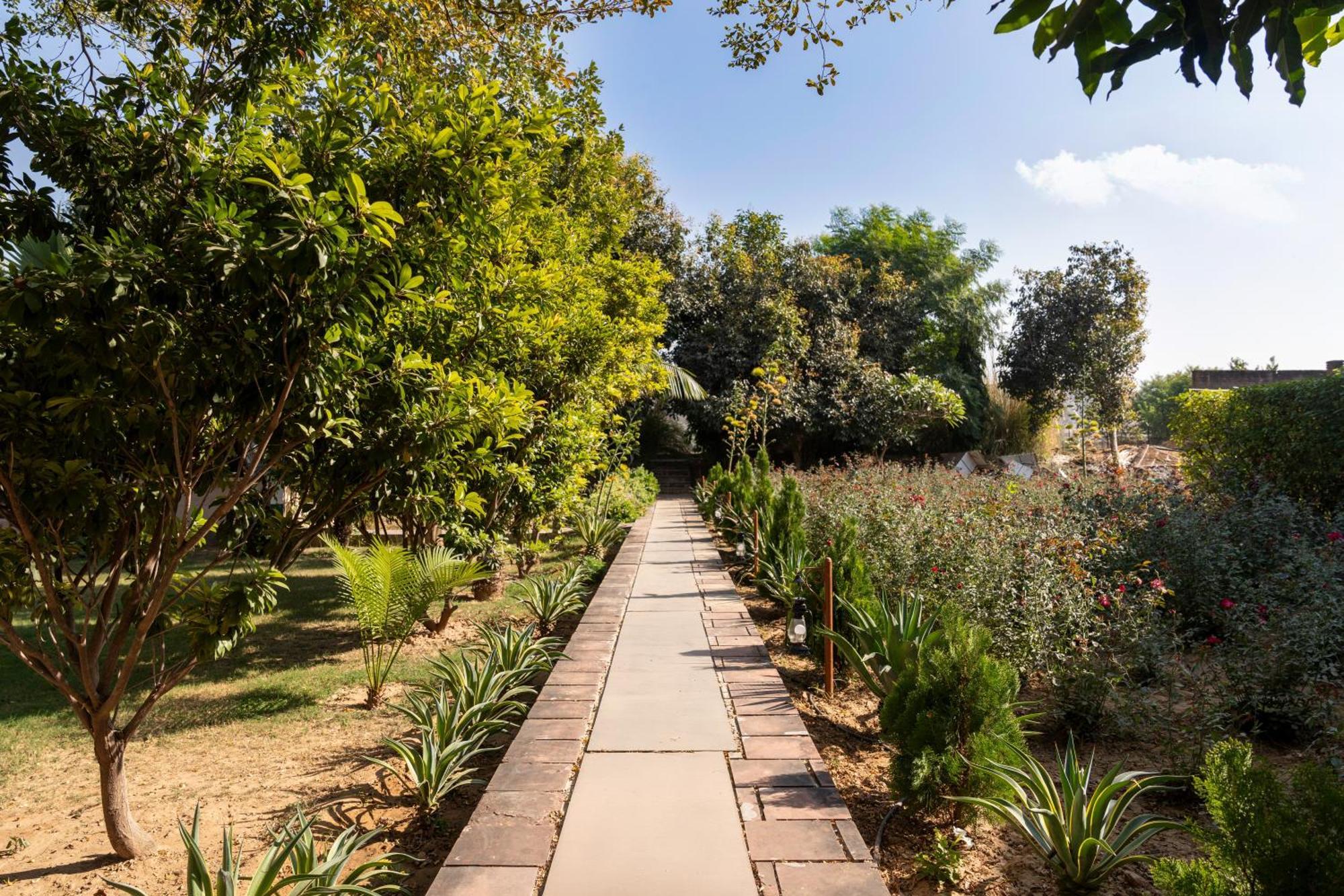 Abhyaran Resort & Spa Ranthambore Sawai Madhopur Extérieur photo